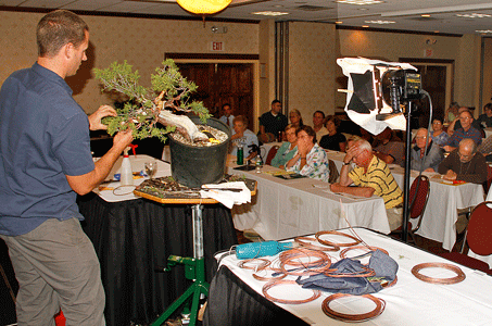 Demonstrations by Bonsai Artist