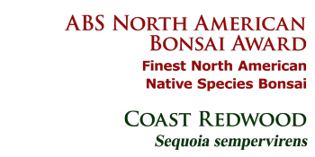 ABS North American Bonsai Award