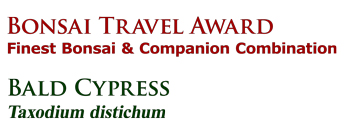 Bonsai Travel Award