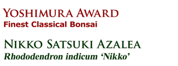 Yoshimura Award