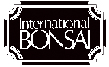 International Bonsai