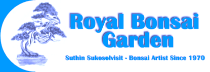Royal Bonsai Garden