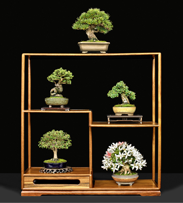 Custom Oriental Woodcraft Award, 3rd US National Bonsai Exhibition