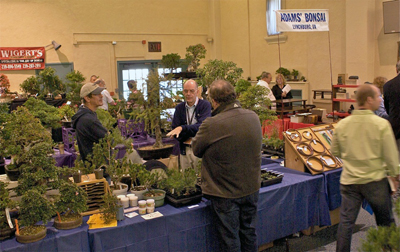 Bonsai National Exhibition