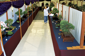 Bonsai national Exhibition